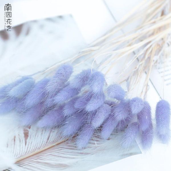 decorative flowers & wreaths 20pc/lot artificial plant immortal flower bouquet po props color rabbittail dried wedding home decoration
decorative flowers & wreaths 20pc/lot artificial plant immortal flower bouquet po props color rabbittail dried wedding home decoration