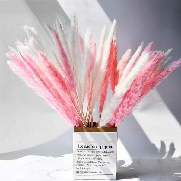 mixed bouquet as picture diy 100pc/15pc real reed pampas grass dried flowers artificial plants for home decor wedding decoration
mixed bouquet as picture diy 100pc/15pc real reed pampas grass dried flowers artificial plants for home decor wedding decoration