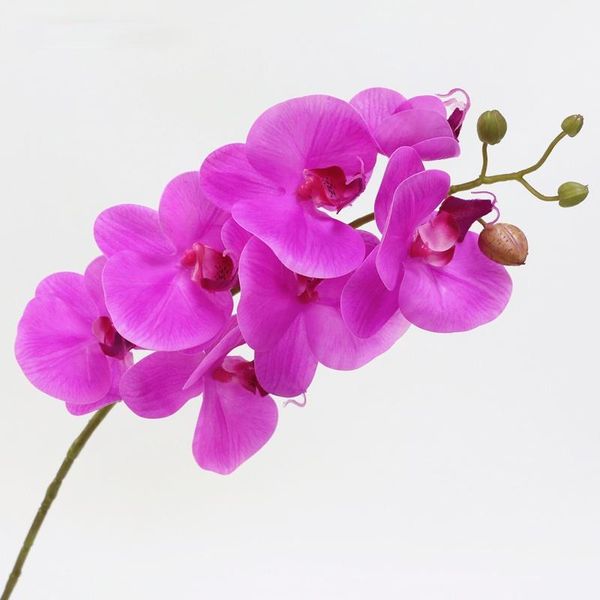decorative flowers & wreaths artificial orchid real touch butterfly flores artificiales wedding decoration home festival
decorative flowers & wreaths artificial orchid real touch butterfly flores artificiales wedding decoration home festival