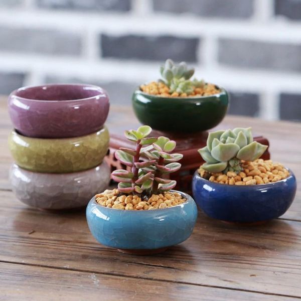 planters & pots 1pcs ice cracked glaze flower ceramic succulent pot mini home decoration
planters & pots 1pcs ice cracked glaze flower ceramic succulent pot mini home decoration