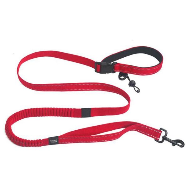 dog collars & leashes leash hands pet lead elasticity explosion-proof nylon harness outdoor running handle with reflective strips
dog collars & leashes leash hands pet lead elasticity explosion-proof nylon harness outdoor running handle with reflective strips