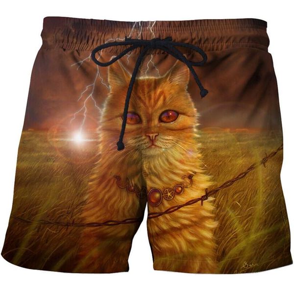 novel summer fashion animal design 3d swimming shorts, men's cat print beach surfing shorts, White;black
novel summer fashion animal design 3d swimming shorts, men's cat print beach surfing shorts, White;black