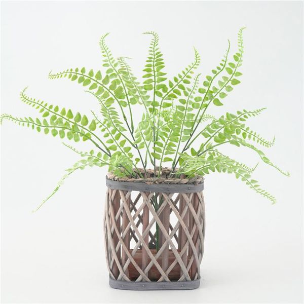 decorative flowers & wreaths artificial plant leaf grass simulation of tufted persian decor leaves branch home office plastic greenery ornam
decorative flowers & wreaths artificial plant leaf grass simulation of tufted persian decor leaves branch home office plastic greenery ornam