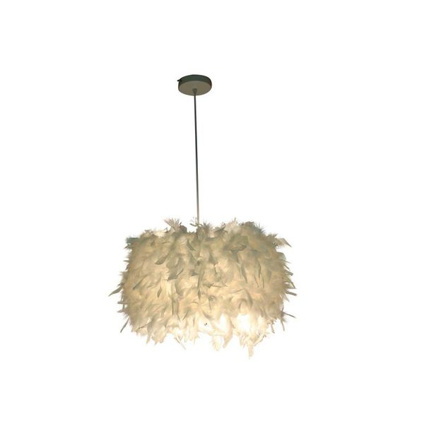 personality dining room bedroom feather chandelier nordic small 30cm 5w promotion pendant lamps
personality dining room bedroom feather chandelier nordic small 30cm 5w promotion pendant lamps