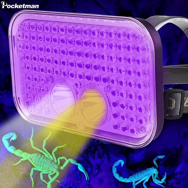 in 1 uv led headlight black light headlamp head torch for pet clothing night fishing headlamps
in 1 uv led headlight black light headlamp head torch for pet clothing night fishing headlamps