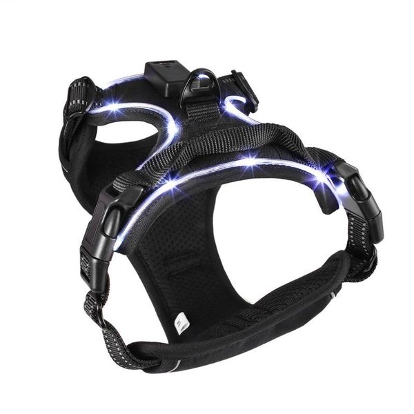 dog collars & leashes black heavy duty soft padded comfort control adjustable led collar harness pet chest strap usb rechargeable
dog collars & leashes black heavy duty soft padded comfort control adjustable led collar harness pet chest strap usb rechargeable