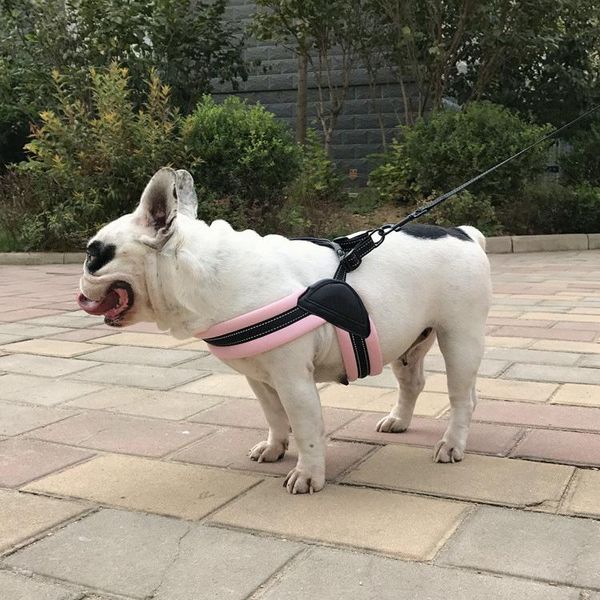 pet supplies cloth comfortable dog vest-style chest harness safe walking training leash set with xs-l size collars & leashes
pet supplies cloth comfortable dog vest-style chest harness safe walking training leash set with xs-l size collars & leashes