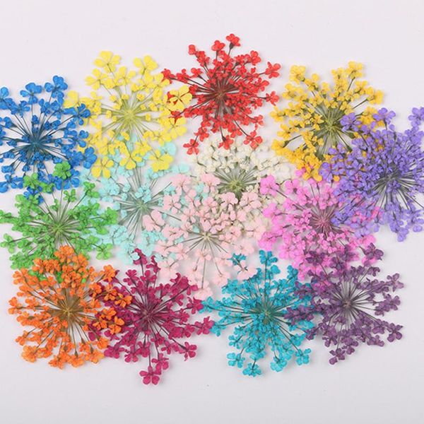 decorative flowers & wreaths 12pcs / bag snowdrop flower natural dried pressed manicure drip glue mobile phone case diy material
decorative flowers & wreaths 12pcs / bag snowdrop flower natural dried pressed manicure drip glue mobile phone case diy material