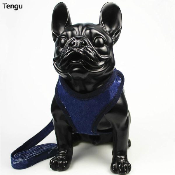 blue denim pet cool chest strap suitable for outdoor sports can manage dog behavior leather set cats collars & leashes
blue denim pet cool chest strap suitable for outdoor sports can manage dog behavior leather set cats collars & leashes