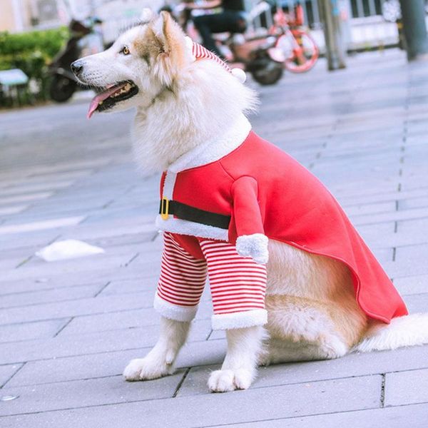 dog christmas costume cute cosplay clothes comfortable soft for medium large dogs cats puppy pet party decor apparel
dog christmas costume cute cosplay clothes comfortable soft for medium large dogs cats puppy pet party decor apparel