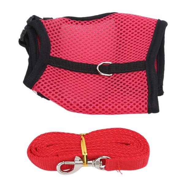 cat collars & leads collar shirt personalized harness with lead adjustable and soft pet walking for rabbits small
cat collars & leads collar shirt personalized harness with lead adjustable and soft pet walking for rabbits small