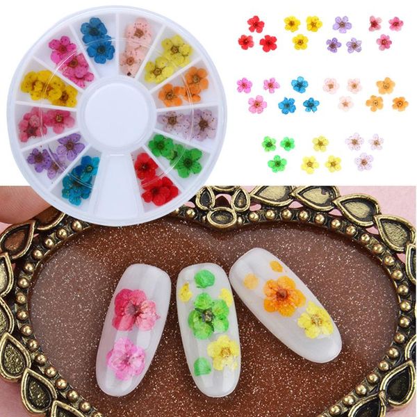 decorative flowers & wreaths natural dry set decals nail art 3d multi color floral slices gel polish decoration diy manicure accessories sel
decorative flowers & wreaths natural dry set decals nail art 3d multi color floral slices gel polish decoration diy manicure accessories sel