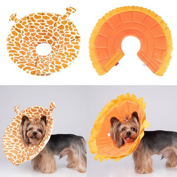 pet grooming ring dog collar protective cover cat anti-licking queen elizabeth accessories fashion apparel
pet grooming ring dog collar protective cover cat anti-licking queen elizabeth accessories fashion apparel