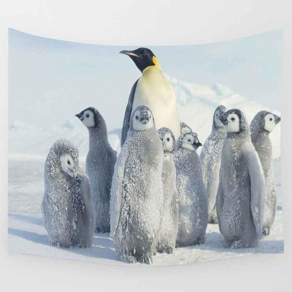 tapestries simsant sea animals tapestry penguins winter snow art wall hanging for living room home dorm decor
tapestries simsant sea animals tapestry penguins winter snow art wall hanging for living room home dorm decor
