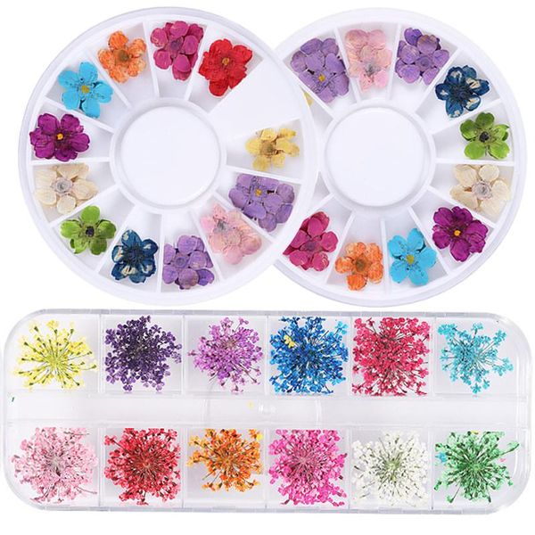 nail art decorations 15pcs 1 box 3d dried flower decoration natural floral mixed dry diy jewelry manicure wholesal supplier, Silver;gold
nail art decorations 15pcs 1 box 3d dried flower decoration natural floral mixed dry diy jewelry manicure wholesal supplier, Silver;gold