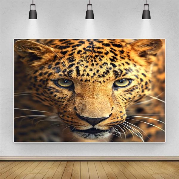 party decoration 3d animals printed pography backdrops po thin background festival decorations for pos studio
party decoration 3d animals printed pography backdrops po thin background festival decorations for pos studio