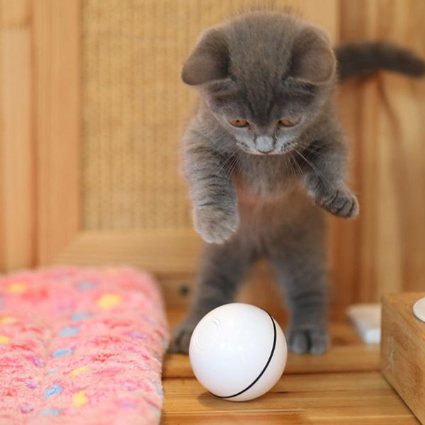 cat toys electronic motion toy teaser yo-yo lifting ball electric flutter rotating interactive puzzle smart pet
cat toys electronic motion toy teaser yo-yo lifting ball electric flutter rotating interactive puzzle smart pet