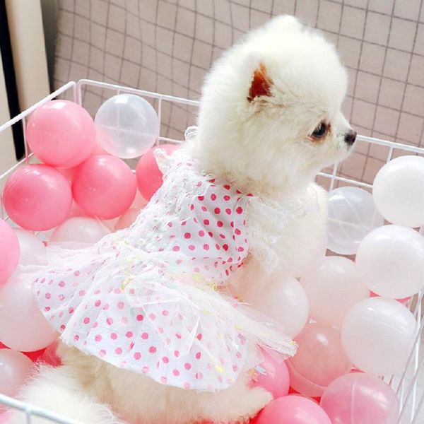 dog apparel dress ruffle tulle dots dresses bead lace mini sundress small/medium pets teddy dogs polka dot birthday wedding formal
dog apparel dress ruffle tulle dots dresses bead lace mini sundress small/medium pets teddy dogs polka dot birthday wedding formal