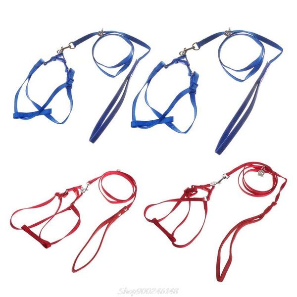 other bird supplies parrot leash pet harness outdoor adjustable anti bite training rope flying band au28 20 dropship
other bird supplies parrot leash pet harness outdoor adjustable anti bite training rope flying band au28 20 dropship
