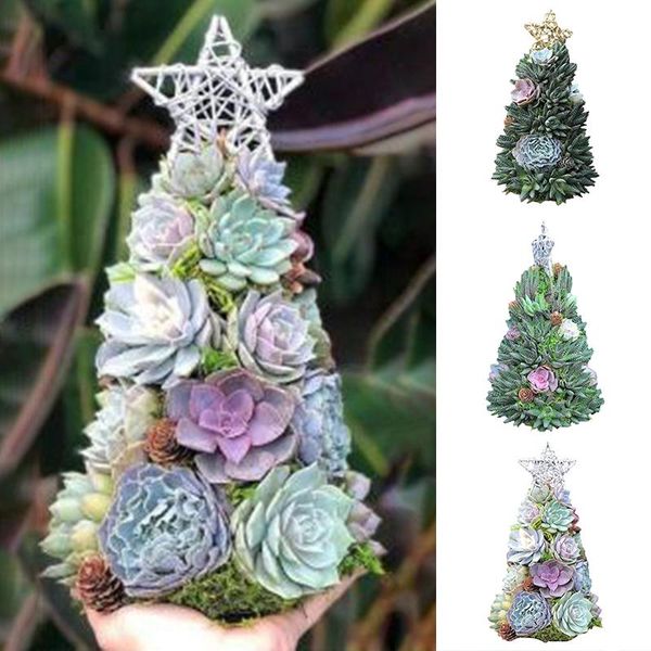 christmas decorations simulatied succulents tree ornament creative resin crafts for home living room garden decor lc
christmas decorations simulatied succulents tree ornament creative resin crafts for home living room garden decor lc