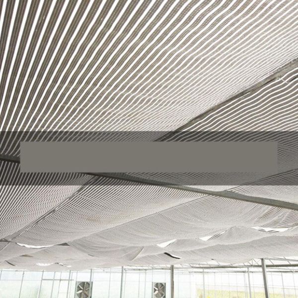 shade reflective aluminum foil net insulation sunscreen plant cloth window cover flowers nets garden sun protection
shade reflective aluminum foil net insulation sunscreen plant cloth window cover flowers nets garden sun protection