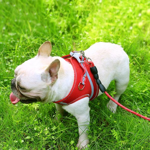 dog collars & leashes reflective harness chest strap pet traction rope training adjustable walking leash collar cat mesh puppy suppliers
dog collars & leashes reflective harness chest strap pet traction rope training adjustable walking leash collar cat mesh puppy suppliers