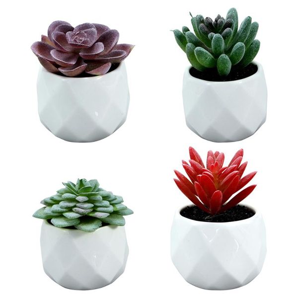 4pcs decorative faux succulent artificial fake simulation plants with pots (flocking green alocasia/flocking ech flowers & wreaths
4pcs decorative faux succulent artificial fake simulation plants with pots (flocking green alocasia/flocking ech flowers & wreaths