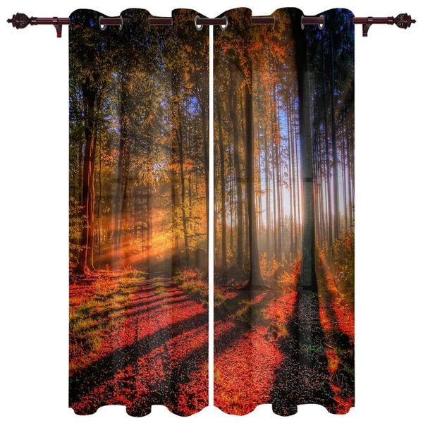 translucent curtains autumn forest beam living room closet kitchen bedroom home decoration exquisite window curtain & drapes 
translucent curtains autumn forest beam living room closet kitchen bedroom home decoration exquisite window curtain & drapes