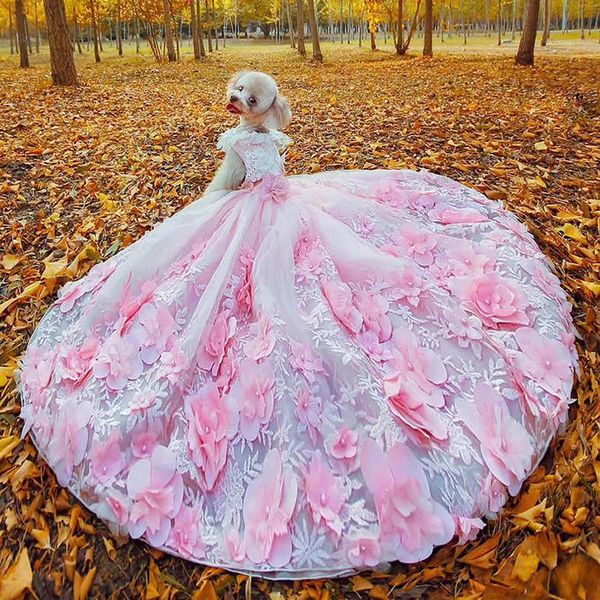 pet dog dress princess luxury trailing wedding for small dogs handmade flowers embroidery lace puppy clothes skirt poodle apparel
pet dog dress princess luxury trailing wedding for small dogs handmade flowers embroidery lace puppy clothes skirt poodle apparel