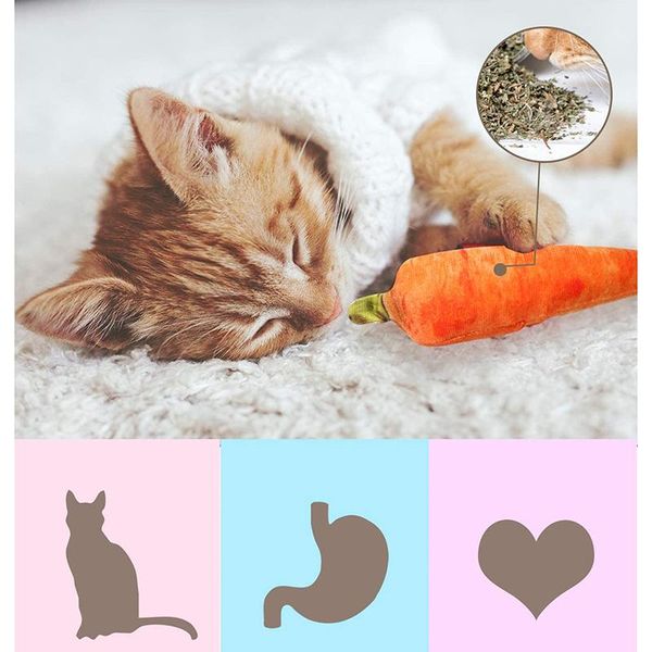 cat toys pet toy plush bite resistant dog chew and simulation chili carrot corn cucumber supplies
cat toys pet toy plush bite resistant dog chew and simulation chili carrot corn cucumber supplies
