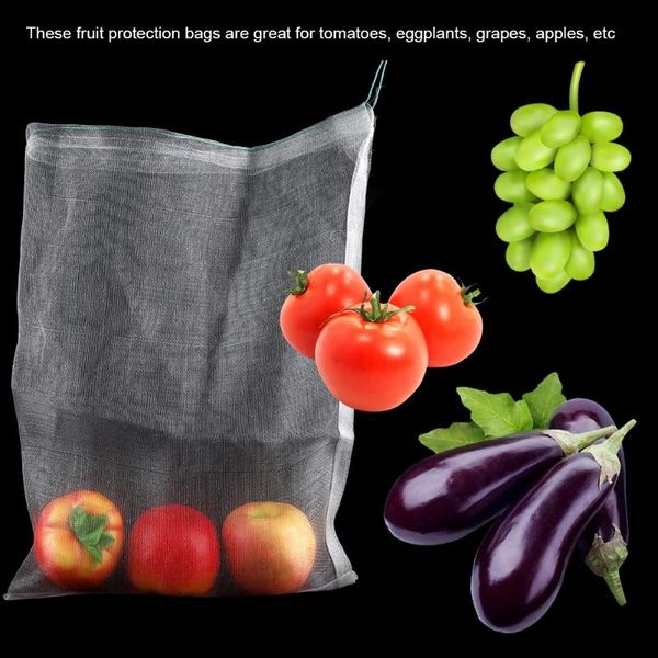 planters & pots 10pcs fruit vegetable insert protection grow bag anti bird plant protective drawstring nylon mesh agricultural pest control
planters & pots 10pcs fruit vegetable insert protection grow bag anti bird plant protective drawstring nylon mesh agricultural pest control