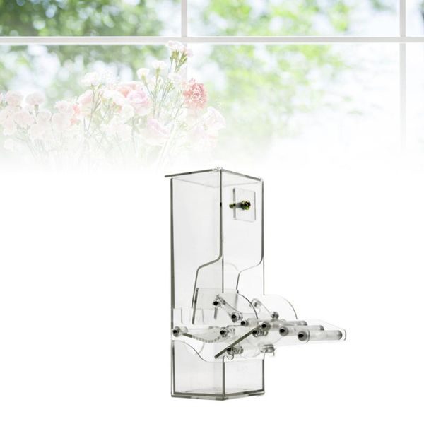 other bird supplies feeder automatic feeders container for pigeons parrot starling pet birds feeding devices
other bird supplies feeder automatic feeders container for pigeons parrot starling pet birds feeding devices