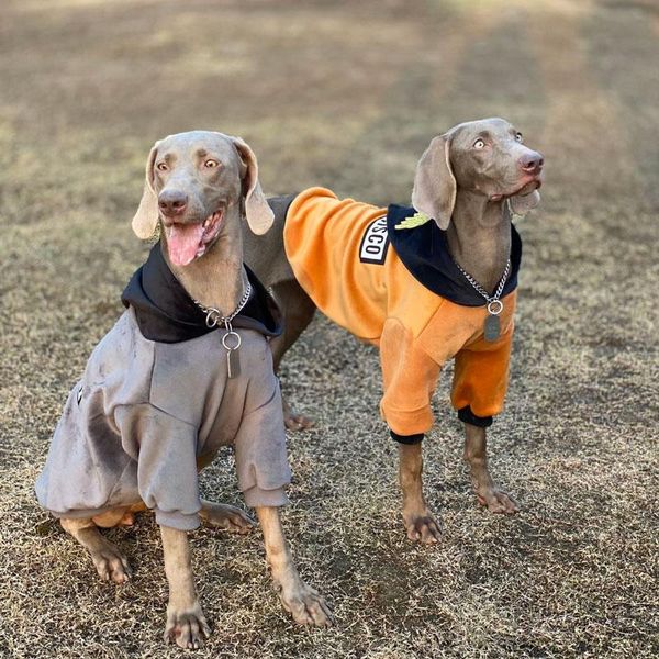 dog apparel large winter clothes labrador golden retriever samoyed anti-hair falling warm coats accessories
dog apparel large winter clothes labrador golden retriever samoyed anti-hair falling warm coats accessories