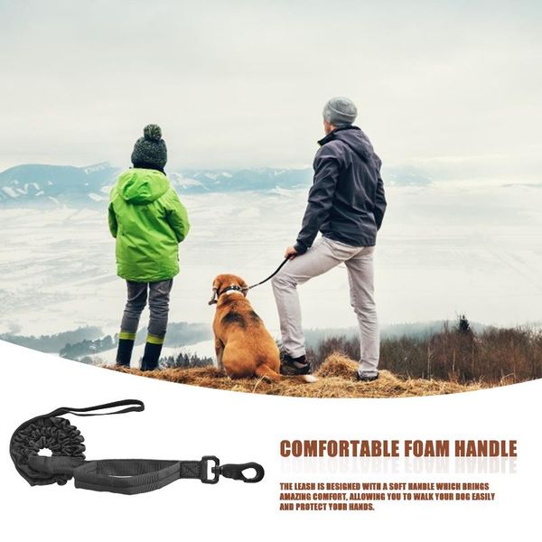 dog leash reflective strong nylon pet leashes with soft handle double durable stretch for outdoor collars &
dog leash reflective strong nylon pet leashes with soft handle double durable stretch for outdoor collars &