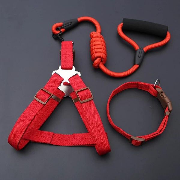 dog collars & leashes pet set adjustable buckle leash large dogs chihuahua walking lead puppy accessories and harnesses
dog collars & leashes pet set adjustable buckle leash large dogs chihuahua walking lead puppy accessories and harnesses