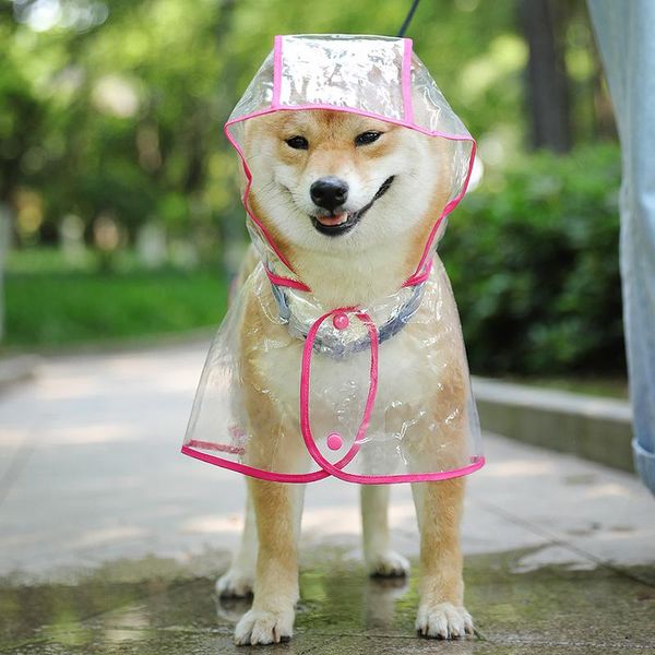 dog poncho transparent waterproof pet raincoat pu clothes for small dogs including rain shoes apparel
dog poncho transparent waterproof pet raincoat pu clothes for small dogs including rain shoes apparel