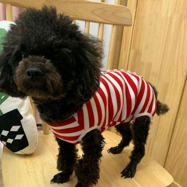 cat costumes dog anti-lick costume clothes pet recovery suit after
cat costumes dog anti-lick costume clothes pet recovery suit after