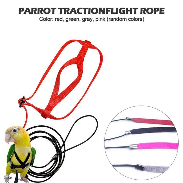 other bird supplies adjustable parrot harness leash ultralight anti-bite flying traction rope training leashes outdoor carrying
other bird supplies adjustable parrot harness leash ultralight anti-bite flying traction rope training leashes outdoor carrying