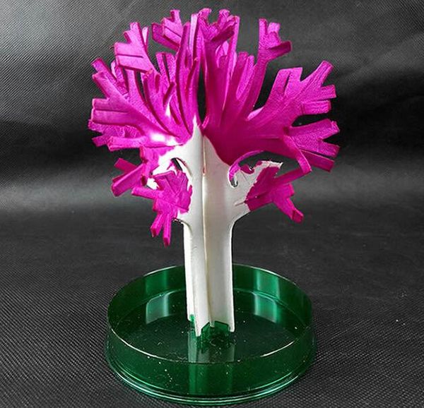 party masks 2021 10pcs 14x11cm pink big magic grow paper japanese sakura tree magically growing trees kit deskcherry blossom kids toys
party masks 2021 10pcs 14x11cm pink big magic grow paper japanese sakura tree magically growing trees kit deskcherry blossom kids toys