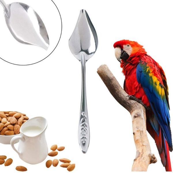 other bird supplies parrot feeding spoon stainless steel water milk powder feeder spoons
other bird supplies parrot feeding spoon stainless steel water milk powder feeder spoons
