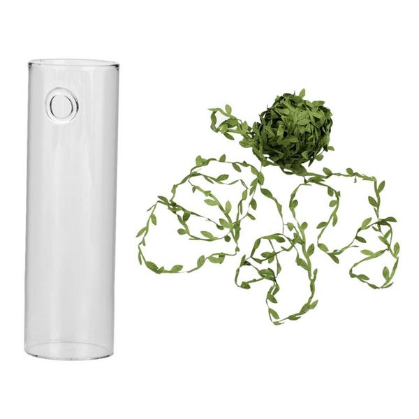 cylinder glass wall hanging vase bottle with 20m home decor artificial garland plants vases
cylinder glass wall hanging vase bottle with 20m home decor artificial garland plants vases
