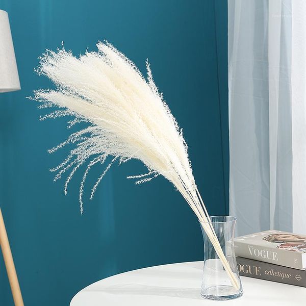 decorative flowers & wreaths 20pcs pampas grass large natural reed decor dried plants wedding decoration christmas flower bunch1
decorative flowers & wreaths 20pcs pampas grass large natural reed decor dried plants wedding decoration christmas flower bunch1