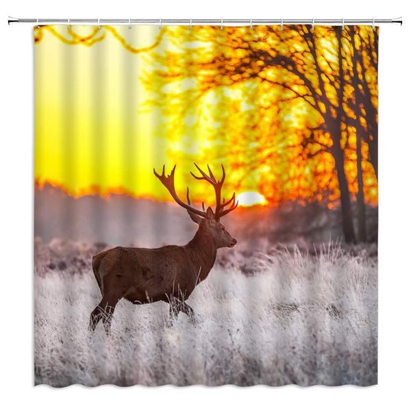sztnsm elk shower curtain sunset in the winter animal elk running the jungle plant grass,70x70 inch polyester fabric bathroom
sztnsm elk shower curtain sunset in the winter animal elk running the jungle plant grass,70x70 inch polyester fabric bathroom