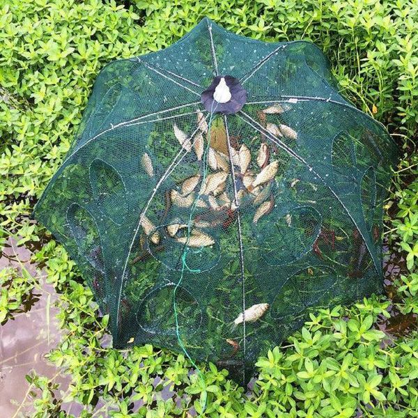 4-20 hole fishing net folding portable hexagonal fish casting crayfish shrimp catcher tank trap with luminous lure beads accessories
4-20 hole fishing net folding portable hexagonal fish casting crayfish shrimp catcher tank trap with luminous lure beads accessories