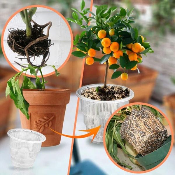 vases 10/12/15cm orchid clear flower pot plastic slotted breathable pots & planters handmade
vases 10/12/15cm orchid clear flower pot plastic slotted breathable pots & planters handmade