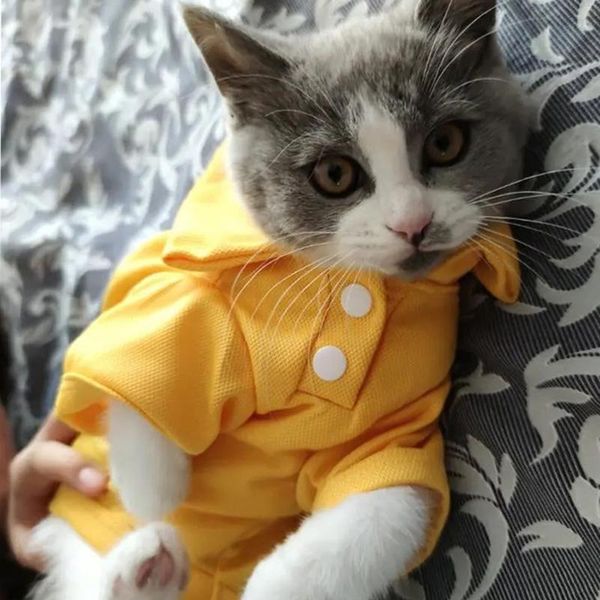 spring summer cat t-shirt cute pet shirts vest clothes for small dogs cats kitten kitty costumes clothing
spring summer cat t-shirt cute pet shirts vest clothes for small dogs cats kitten kitty costumes clothing