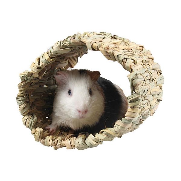 grass color l code hand-woven nest hamster netherlands pig channel toy pet can eat supplies sleep bird cages
grass color l code hand-woven nest hamster netherlands pig channel toy pet can eat supplies sleep bird cages