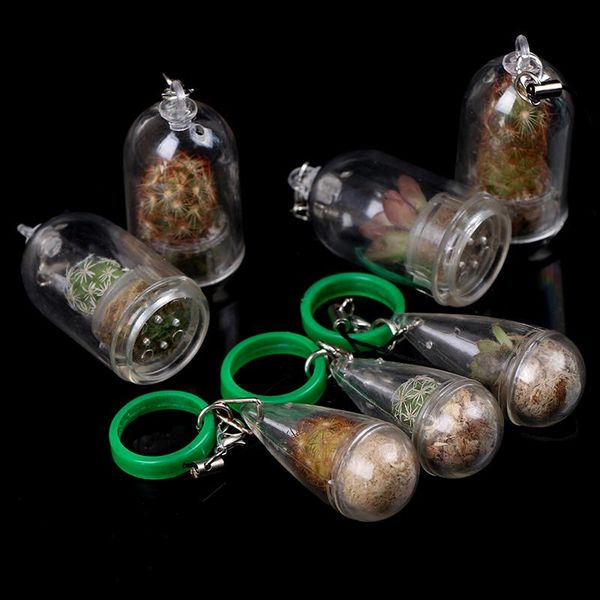 decorative objects & figurines miniature succulent cactus terrarium wearable necklace live diy plant pendant random style home decoration
decorative objects & figurines miniature succulent cactus terrarium wearable necklace live diy plant pendant random style home decoration