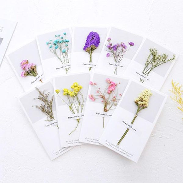 greeting cards 10pcs dried flowers gift romantic birthday invitations creative wedding anniversary paper valentine
greeting cards 10pcs dried flowers gift romantic birthday invitations creative wedding anniversary paper valentine