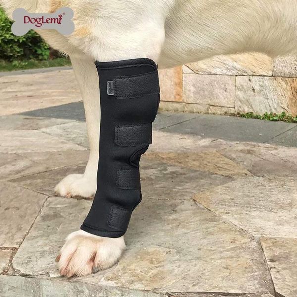 protect pad compression rear joint wrap heal wounds injury puppy injured leg protector dog apparel
protect pad compression rear joint wrap heal wounds injury puppy injured leg protector dog apparel